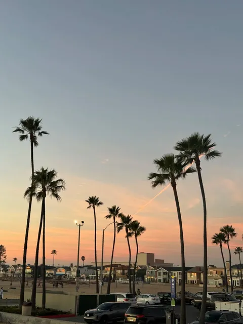 A Day Trip to Newport | Whale Watching 🐋, Sunset 🌅, Ferris Wheel 🎡