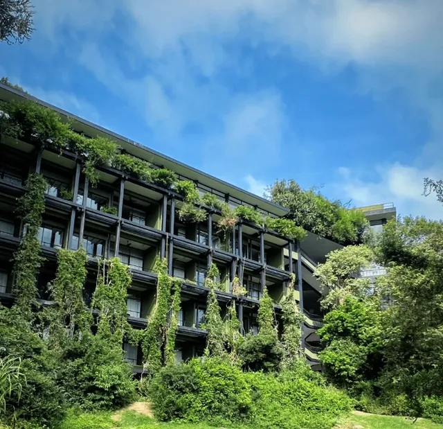 ​​Are Sri Lanka's Heritage Hotels Worth It?​​