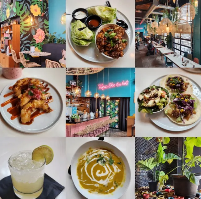 Sunshine Coast Foodie Guide | Must-Try Restaurants