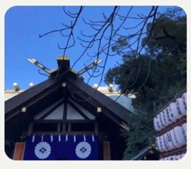 ⛩️ Tokyo Shrine Pilgrimage: A Guide to Unique Spiritual Spots(2) 🌸✨