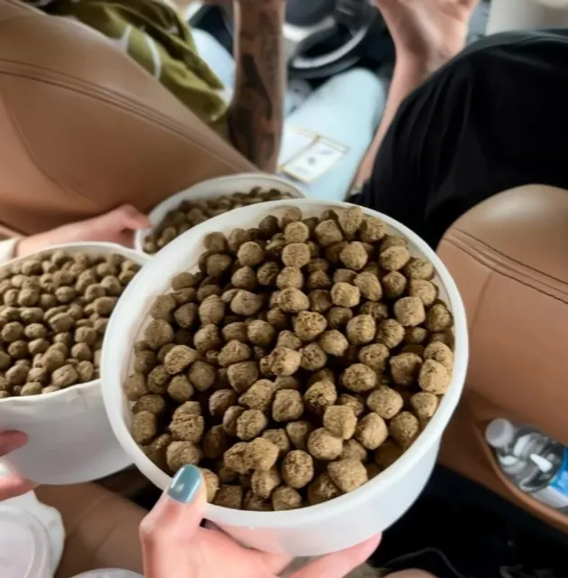 🦒 Keystone Safari | Your Wild Drive-Thru Adventure Awaits! 🦒