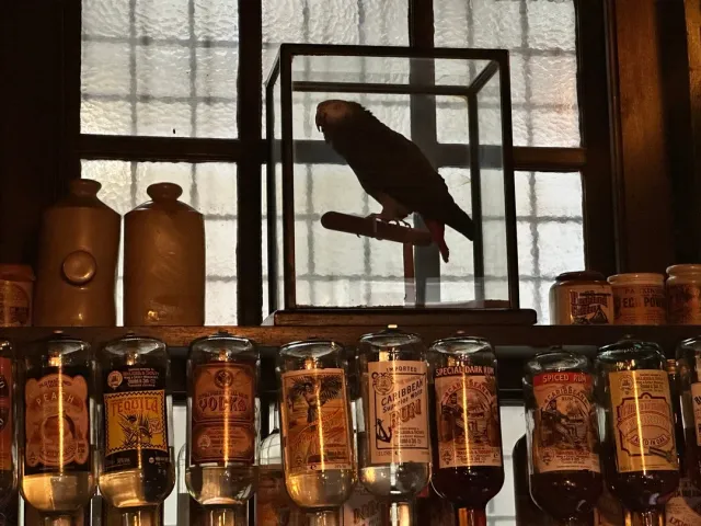 🔥 An Amazing Experience, Great Vibe & Totally Affordable! 🔥