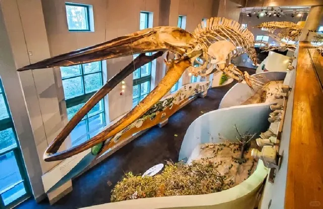 Must-Visit Museums in North Carolina! (Part 1) 😍