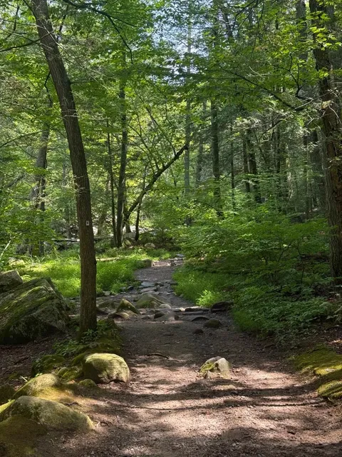 New York Hiking Escape | Harriman State Park 