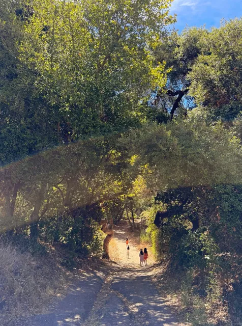 🌿 Los Angeles Weekend Hike | Hidden Nature Trail with Stunning Views