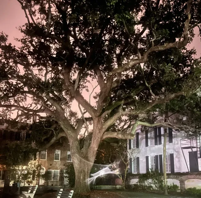 Can't Wait to Go Back! 👻