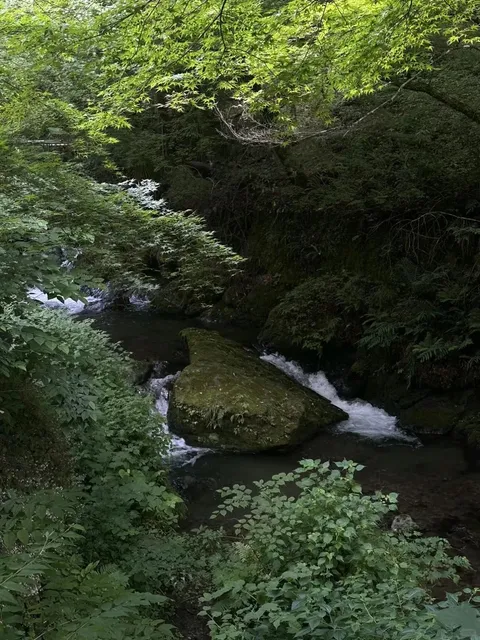   🌸👨‍👩‍👧 Japan Trip with Parents: No-Brainer Adventure 🐛