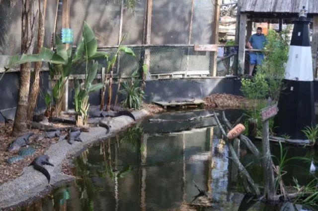 🦀 The Crab Shack | Where Coastal Feasting Meets Island Adventure! 🌊