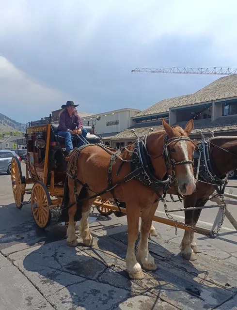  Jackson Hole: A Small City with Special Allure