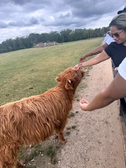 🌾 A Must-Do Farm Experience Near Charlotte: Wagon Road Adventures 🐑