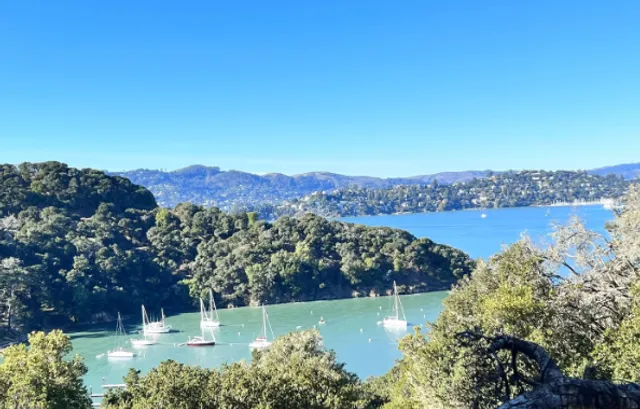 Angel Island: The Ellis Island of the West 🏝️🗽