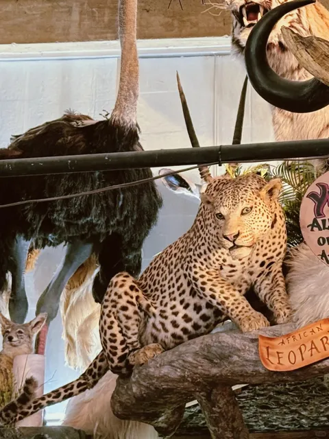 Dallas | Fort Worth Stockyards Leather Store 🐴