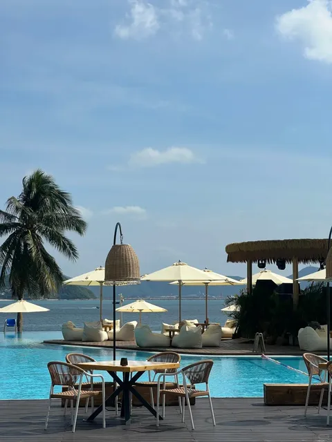 🌴🌵 Autograph Collection: No Regrets, Just Vibes! 