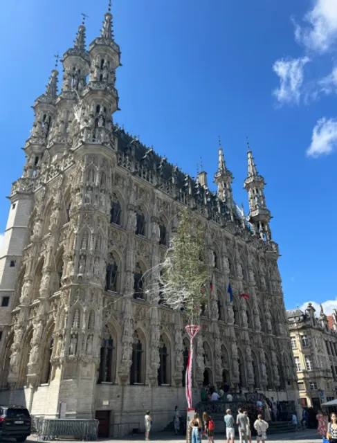 Belgium’s Gothic Jewel Box — Leuven Town Hall✨