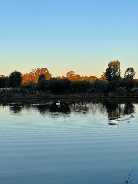 🌿 Albury 2-Day Getaway | Where NSW & VIC Meet ✨