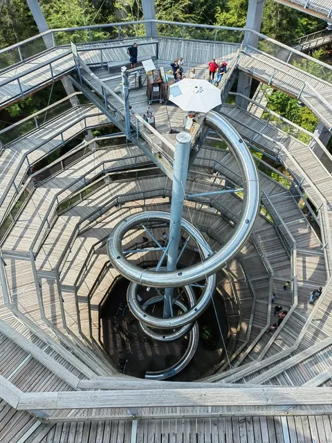 🇩🇪 Perfect Day Trip from Stuttgart: Baumwipfelpfade Adventure! 🌳