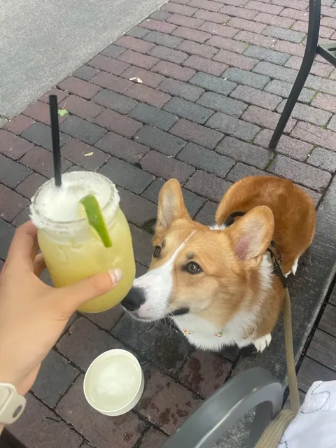 Cincinnati Taco | Bakersfield 🌮