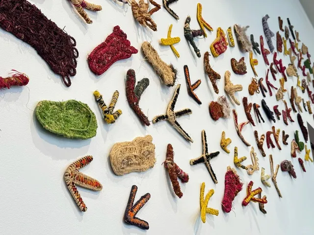 🇦🇺 Summer in Geelong: The Perfect Melbourne Getaway