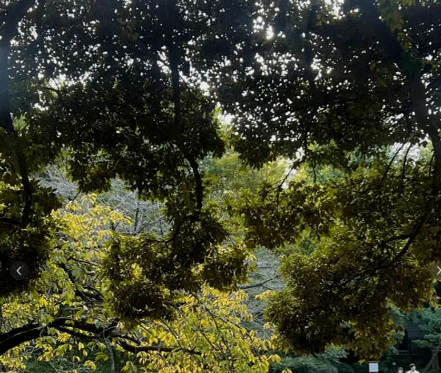 Hidden Gems in Tokyo – Kiyose Garden 💚