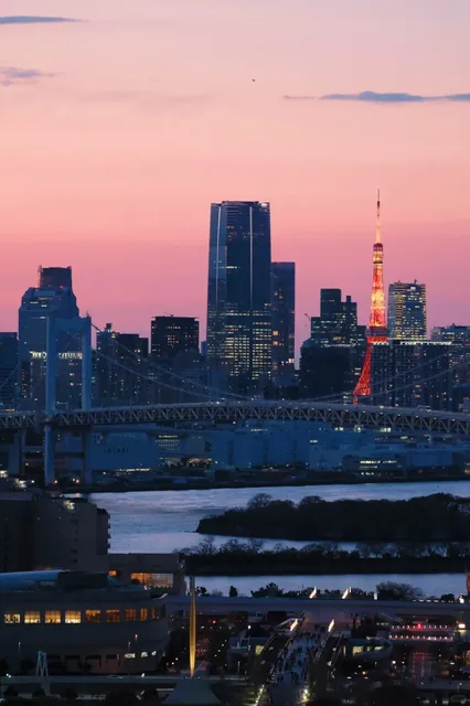🌟 Tokyo's Breathtaking Night View Must-Visit! 