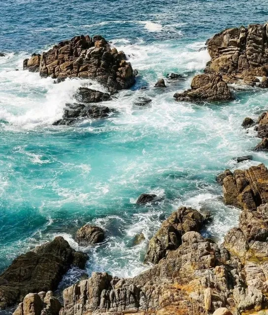 Where Ocean, History & Cuisine Perfectly Converg