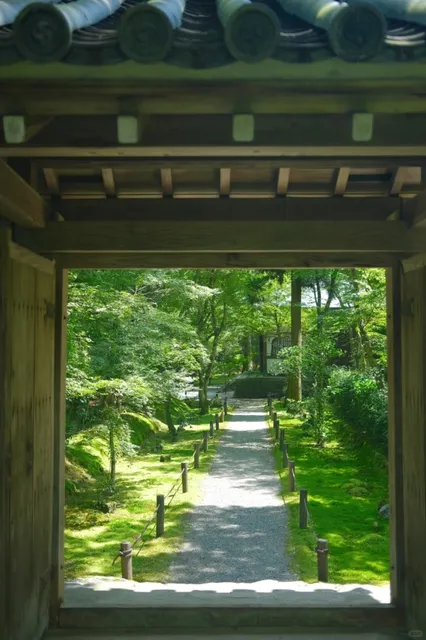 Kyoto Hidden Gems 🌿