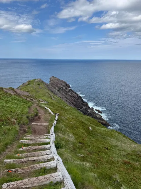 A Day of City Walk in St. John’s 🌆