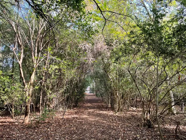 Houston's Hidden Turtle Sanctuary
