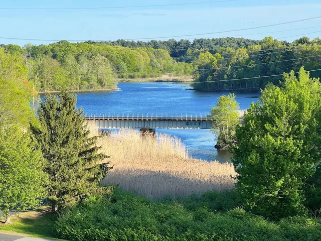 🌿 Boston’s Best-Kept Secret | Millennium Park 🍃