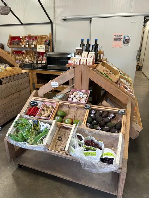 Just Discovered a Hidden Gem in Eindhoven for Weekends! 🌳🍎