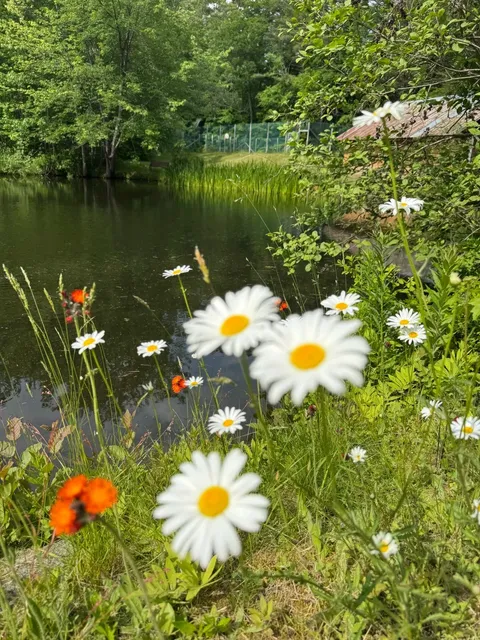 Portsmouth: An Outdoor Paradise in New Hampshire! 🏞️✨