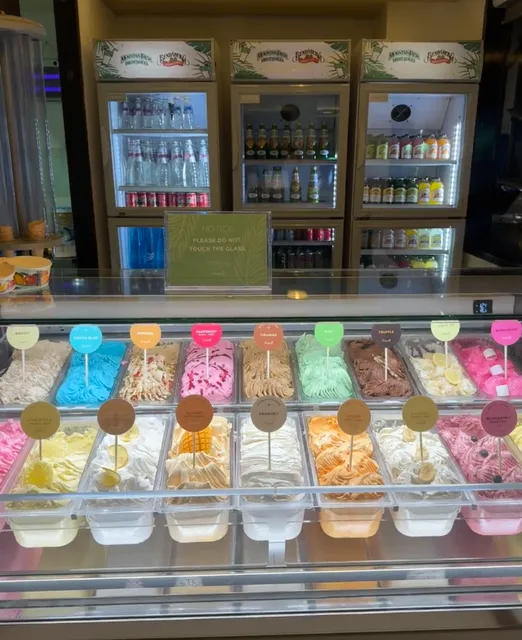 Seagull’s Yogurt Ice Cream—A Sour-Sweet Surprise on the Island 🍦