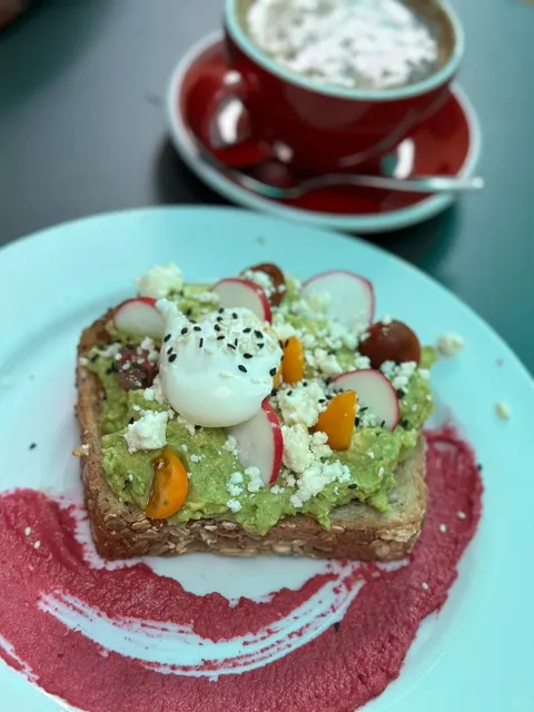 Savannah Solo Trip 🚶‍♀️