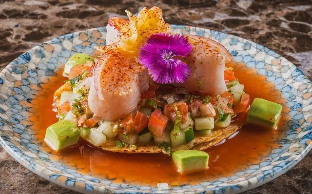 Bistro Marina Premium: A Seaside Culinary Sanctuary