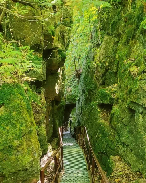 Collingwood | Toronto's Nearby Emerald Wonderland 🌿🏞️