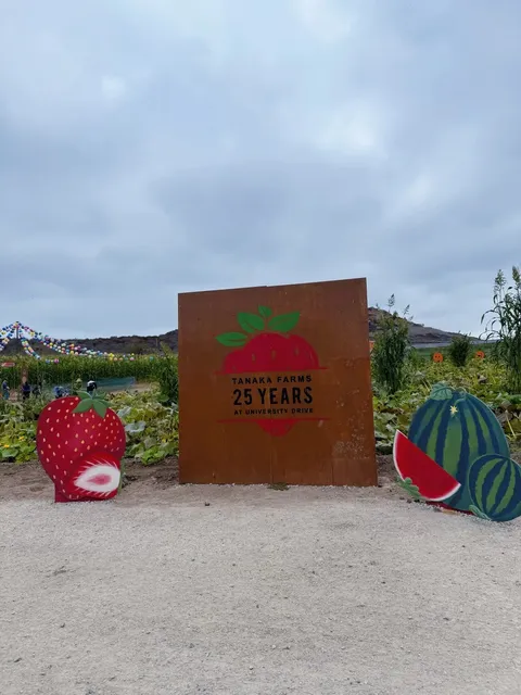 🎃 Irvine’s Ultimate Kid-Friendly Farm 