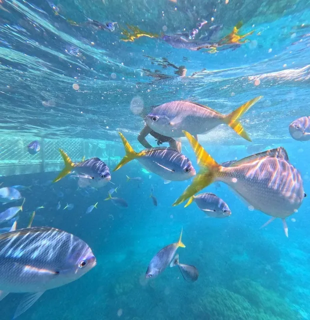 🇦🇺 World's Top 10 Honeymoon Destinations🌴💍