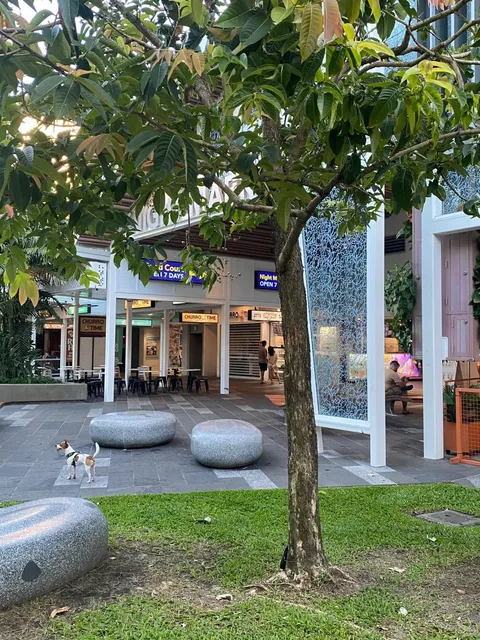 Cairns City Walk – Tropical Urban Adventure! 🌴☀️