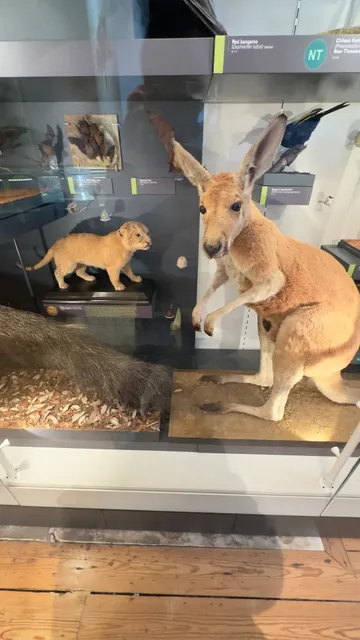 🇬🇧 Nottingham Day Trip Guide | Stunning Wollaton Hall Adventure