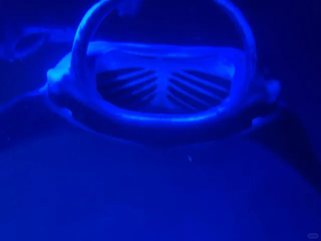 Hawaii Adventure: 8-Day Oahu & Big Island Itinerary 