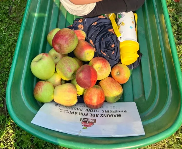 Abbotsford Apple 🍎 Picking | Bracken 🌿 Beef Soup 