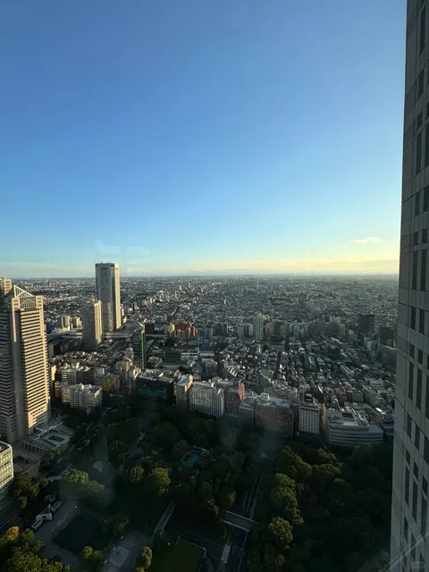 【Must-Visit in Tokyo】