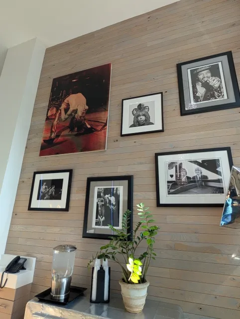 A Cozy & Welcoming Hotel in Downtown San Francisco 🏙️🛏️