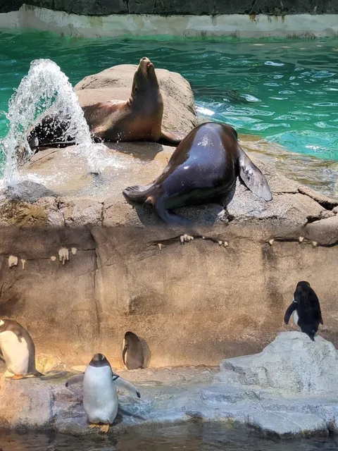🐾 Must-Visit in Pittsburgh: Zoo & PPG Aquarium Guide 🐧