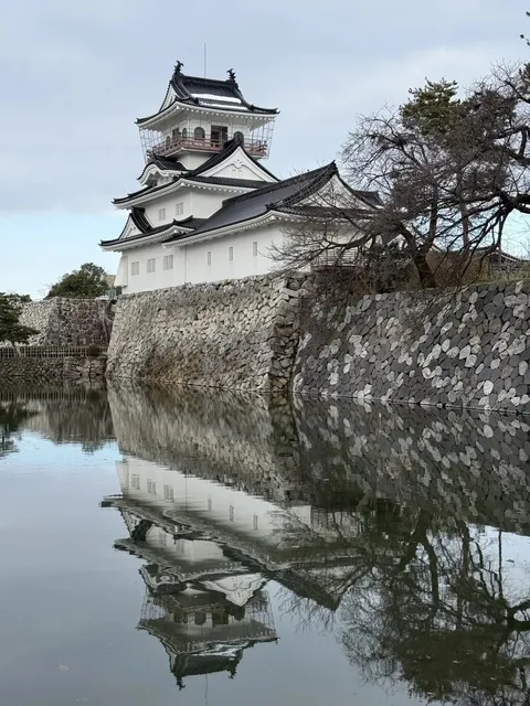 Toyama, Hokuriku: An Unforgettable Encounter 🌟