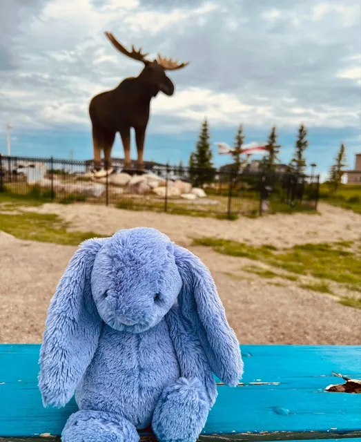 Half - day City Tour of Moose Jaw Town