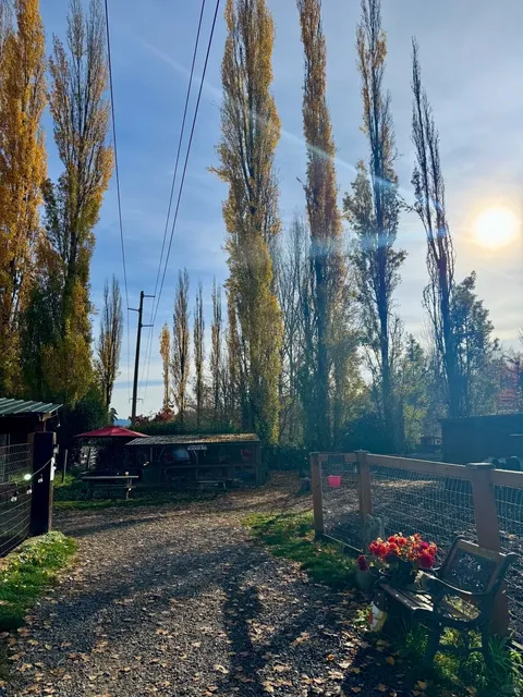 Sammamish Animal Sanctuary: A Gentle Escape