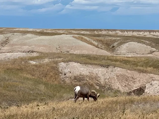 Mars Adventure｜Badlands National Park Guide 🚀🏜️