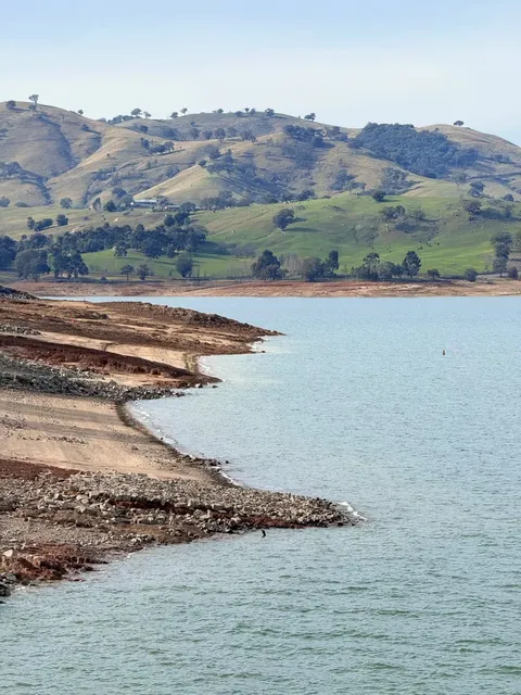 Albury: A Tranquil Oasis on the Border!🍂✨