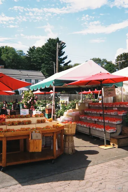 Top Places to Visit in Boston 22/100